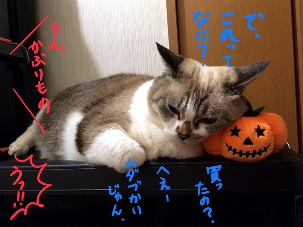 f:id:munazouchan48:20171019153330j:image