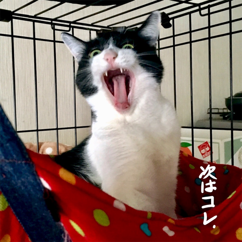 f:id:munazouchan48:20171027160855j:image