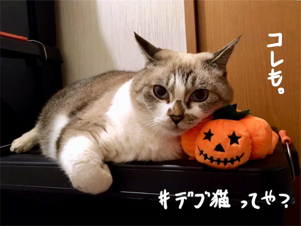 f:id:munazouchan48:20171027161009j:image