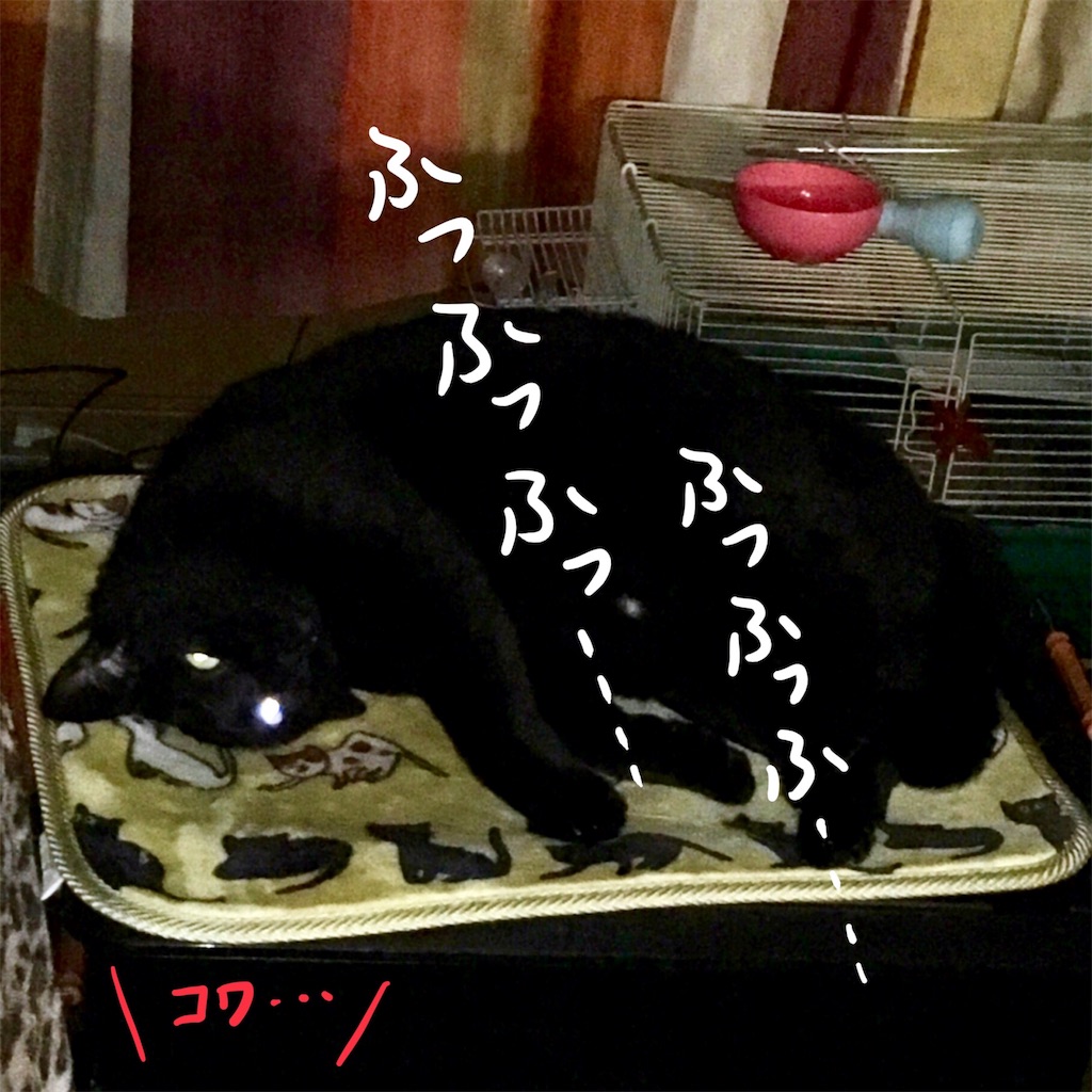 f:id:munazouchan48:20171031145151j:image