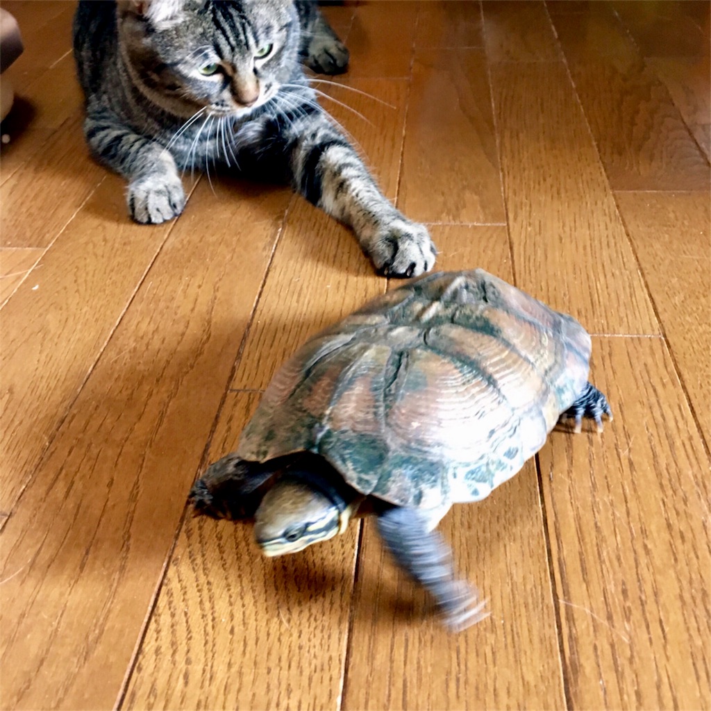 f:id:munazouchan48:20171103164038j:image