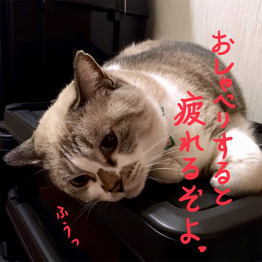 f:id:munazouchan48:20171129153107j:image