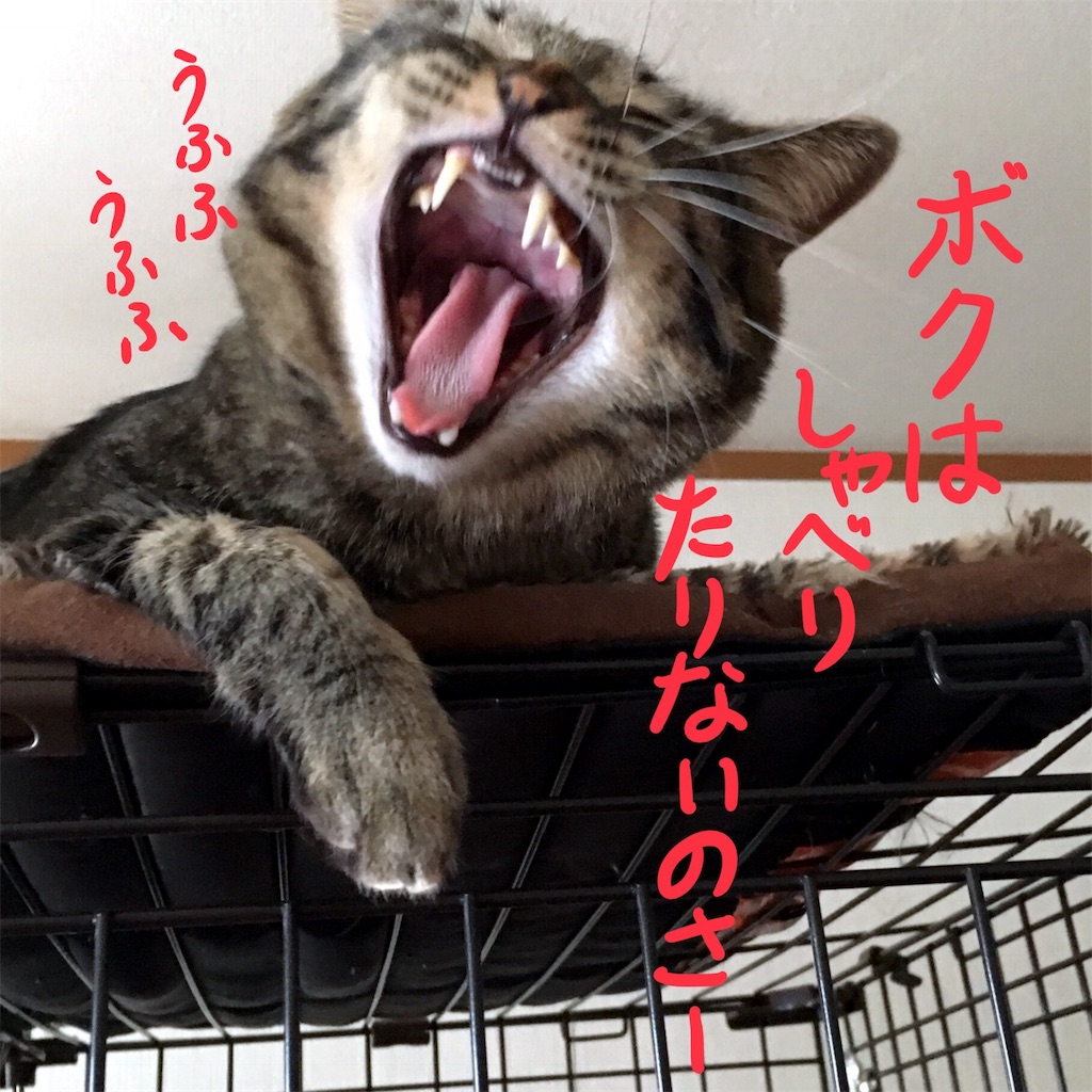 f:id:munazouchan48:20171129153530j:image