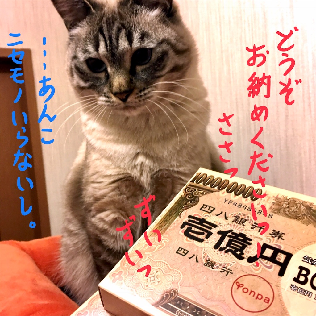 f:id:munazouchan48:20171209124019j:image f:id:munazouchan48:20171209124019j:image