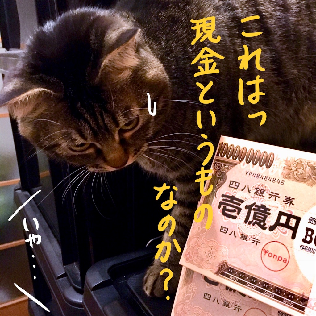 f:id:munazouchan48:20171209155541j:image f:id:munazouchan48:20171209155541j:image