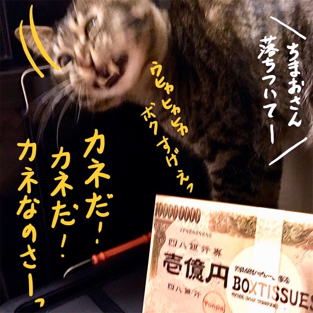 f:id:munazouchan48:20171209155556j:image f:id:munazouchan48:20171209155556j:image