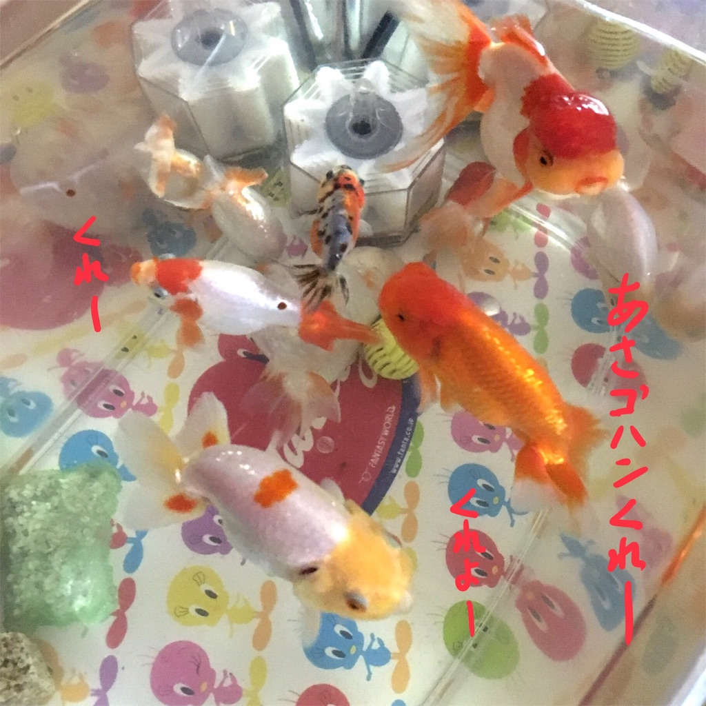 f:id:munazouchan48:20180103152815j:image