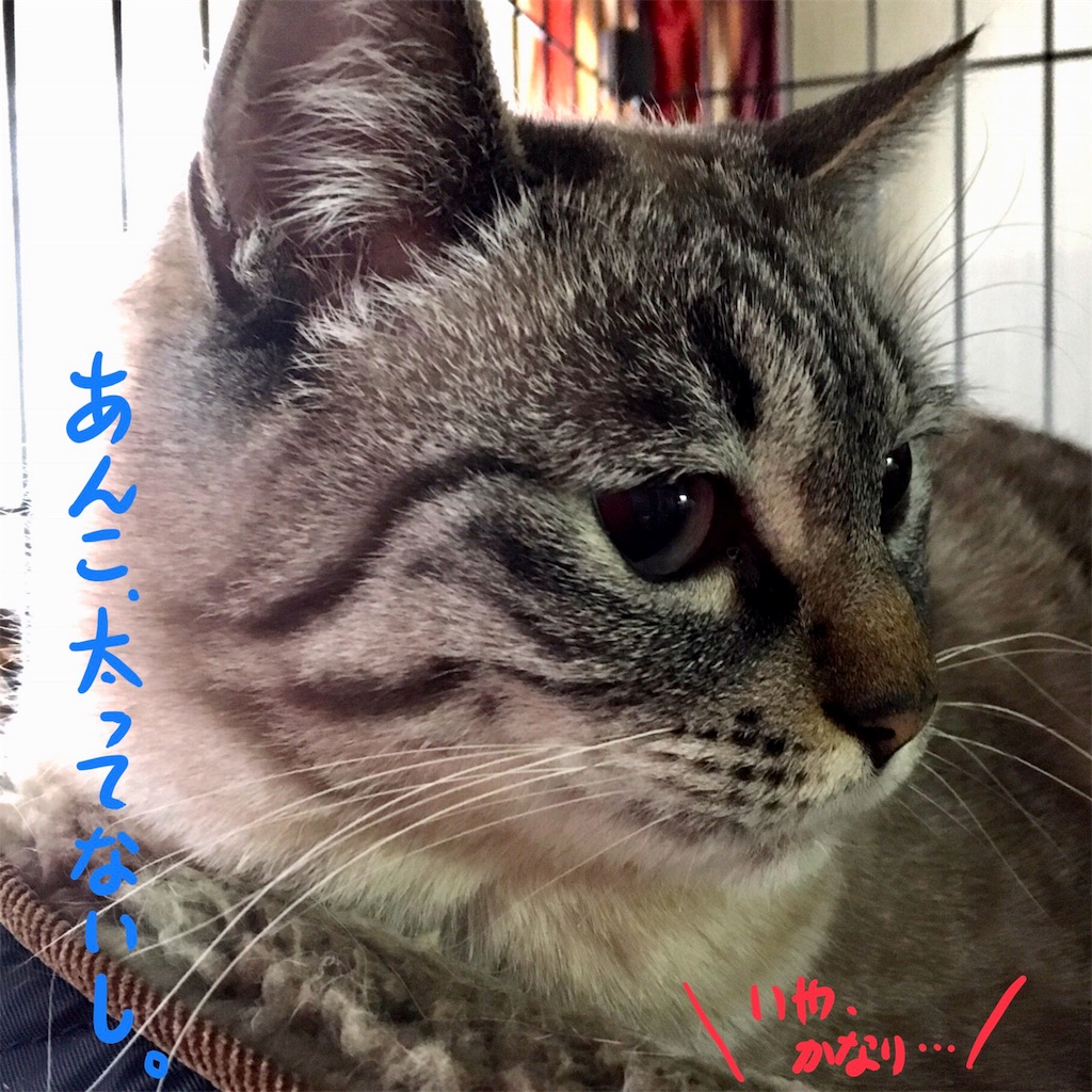 f:id:munazouchan48:20180103153148j:image