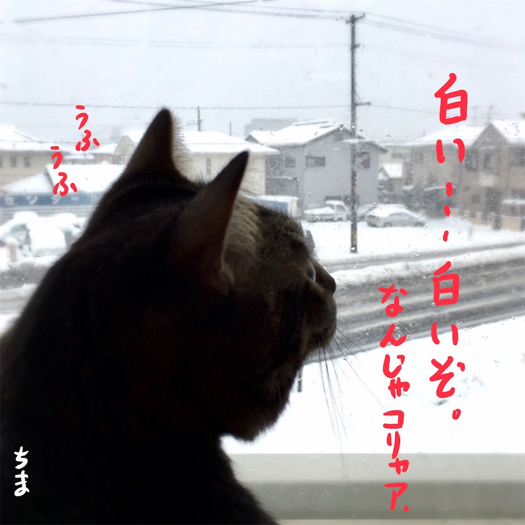 f:id:munazouchan48:20180103153212j:image