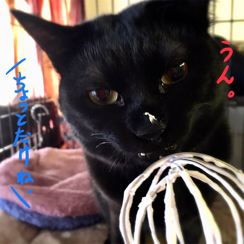 f:id:munazouchan48:20180104134229j:image f:id:munazouchan48:20180104134229j:image