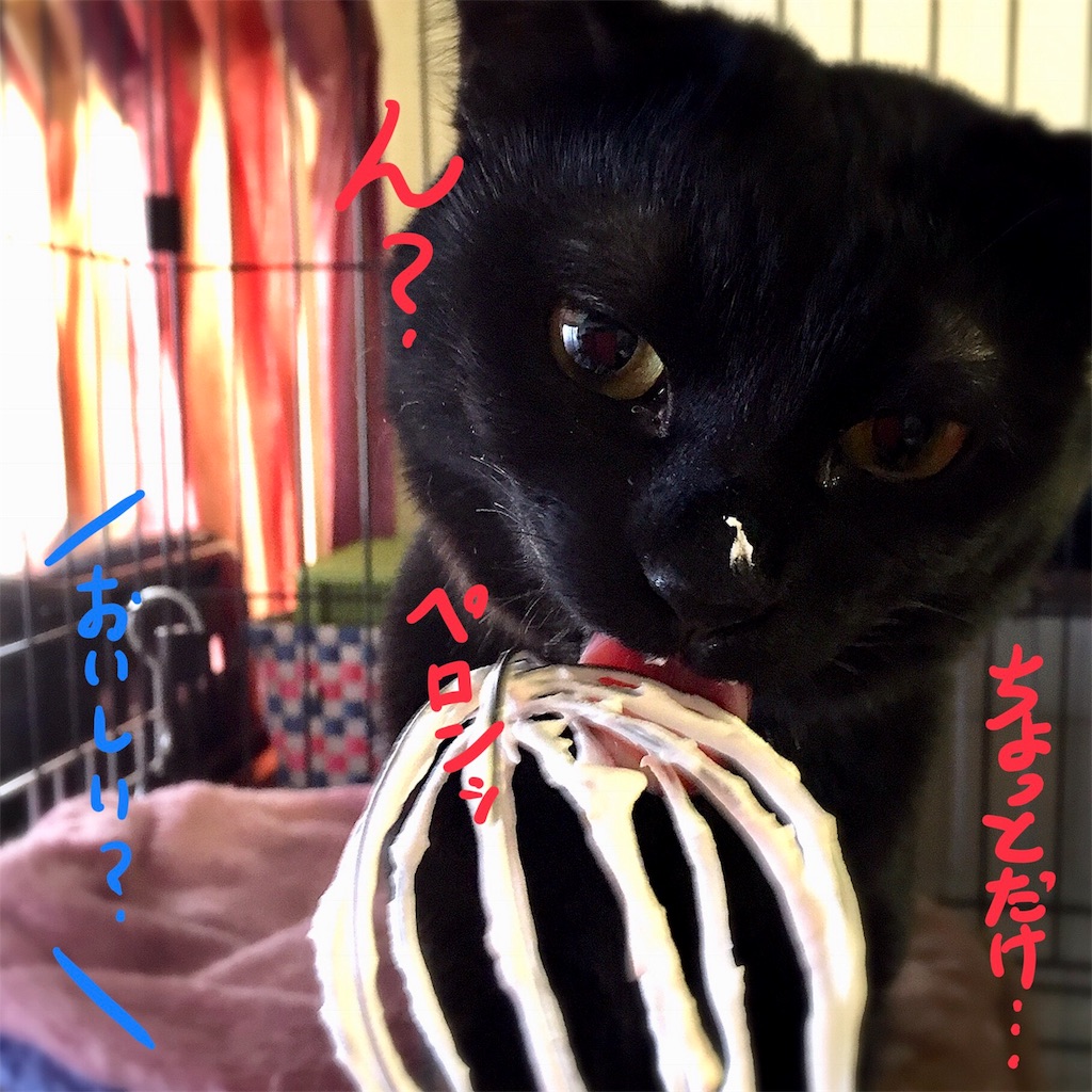 f:id:munazouchan48:20180104134302j:image f:id:munazouchan48:20180104134302j:image