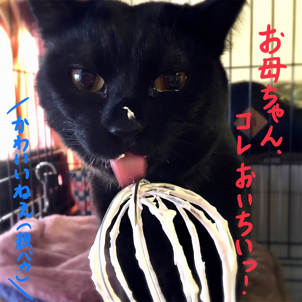 f:id:munazouchan48:20180104134320j:image f:id:munazouchan48:20180104134320j:image