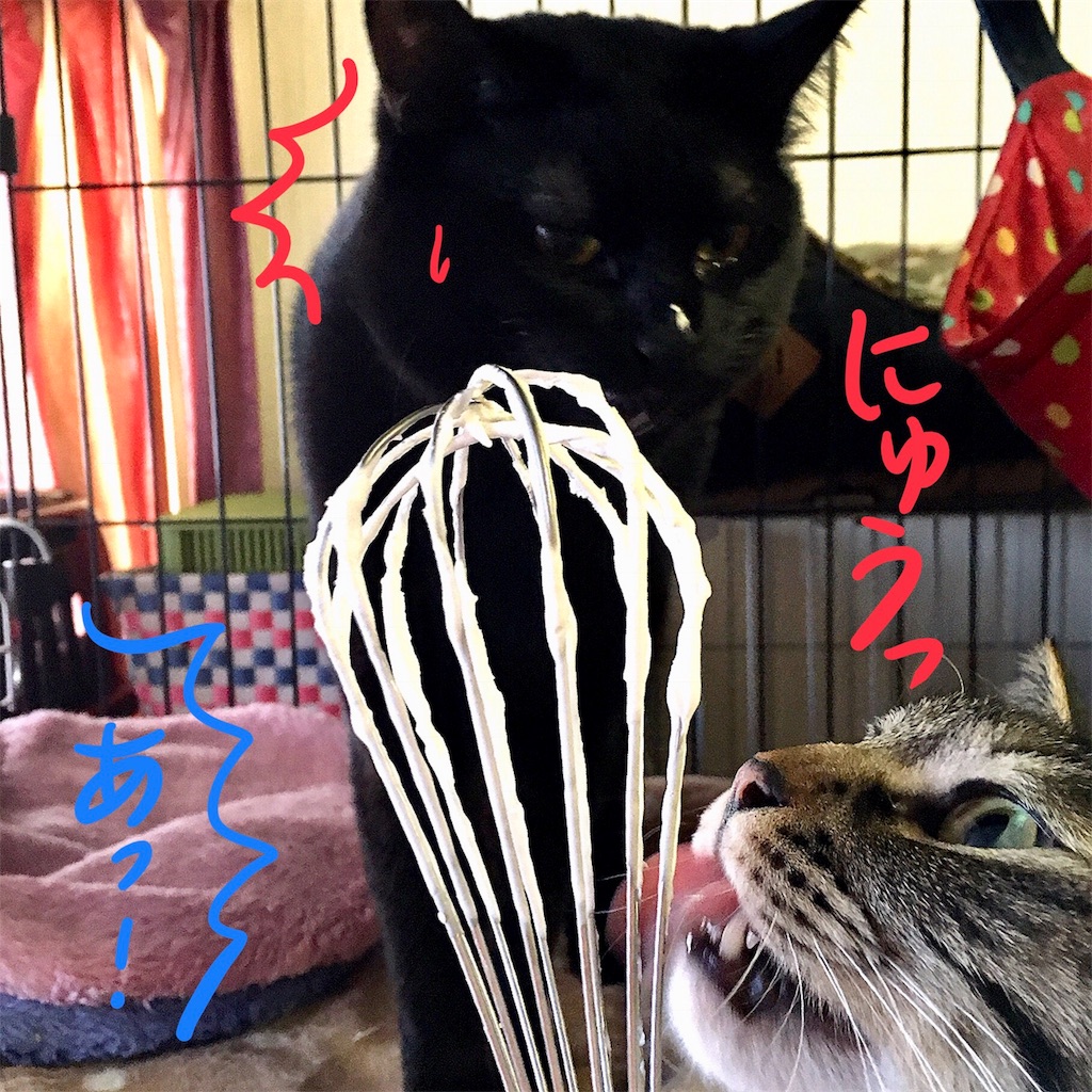 f:id:munazouchan48:20180104134344j:image f:id:munazouchan48:20180104134344j:image