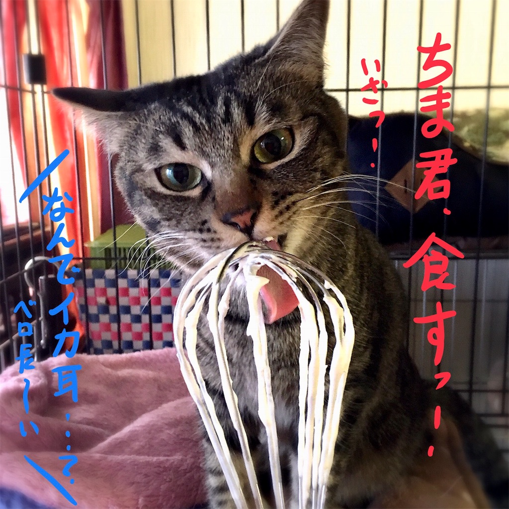 f:id:munazouchan48:20180104134425j:image f:id:munazouchan48:20180104134425j:image