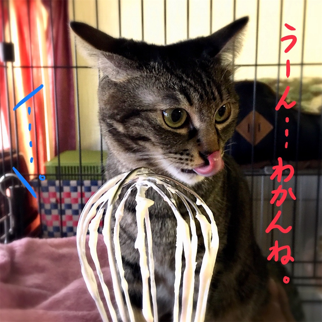 f:id:munazouchan48:20180104134445j:image f:id:munazouchan48:20180104134445j:image