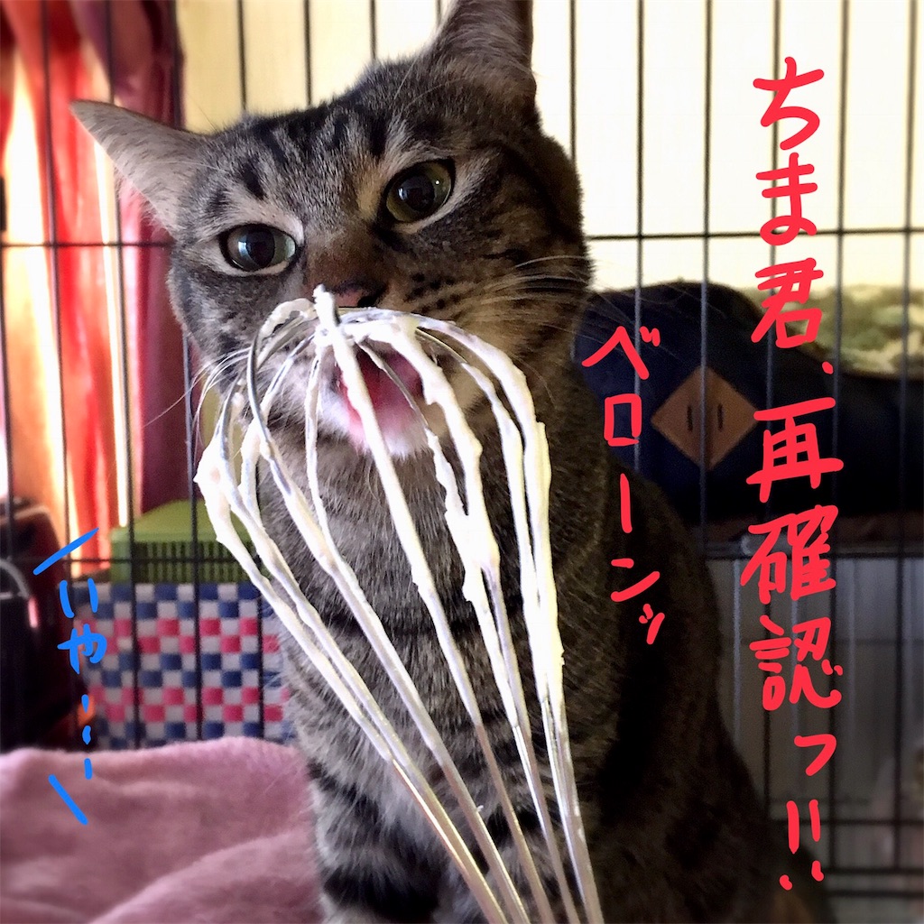 f:id:munazouchan48:20180104134523j:image f:id:munazouchan48:20180104134523j:image