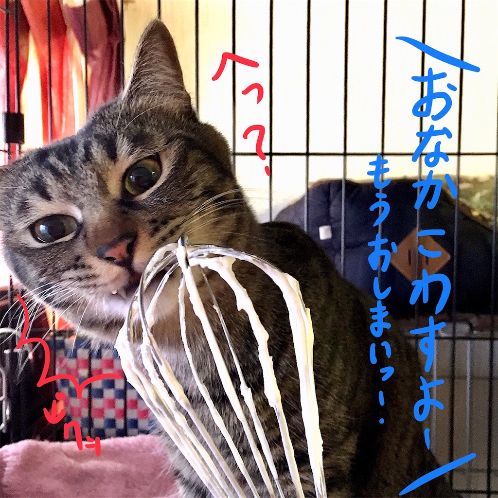 f:id:munazouchan48:20180104134557j:image f:id:munazouchan48:20180104134557j:image