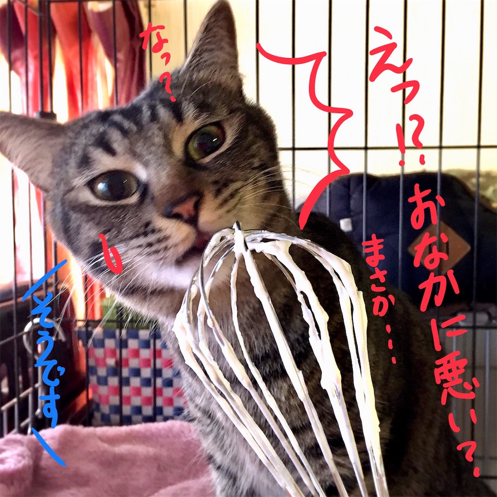 f:id:munazouchan48:20180104134610j:image f:id:munazouchan48:20180104134610j:image