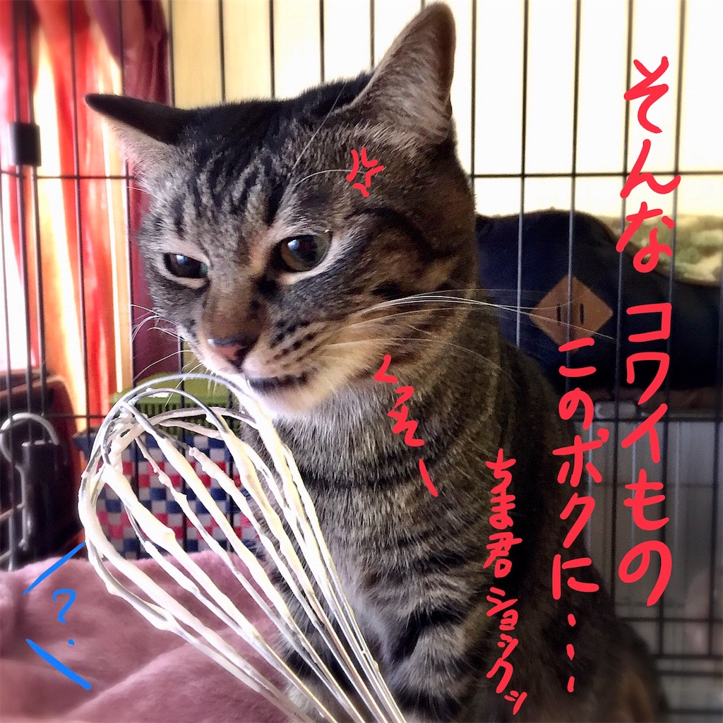 f:id:munazouchan48:20180104134637j:image f:id:munazouchan48:20180104134637j:image