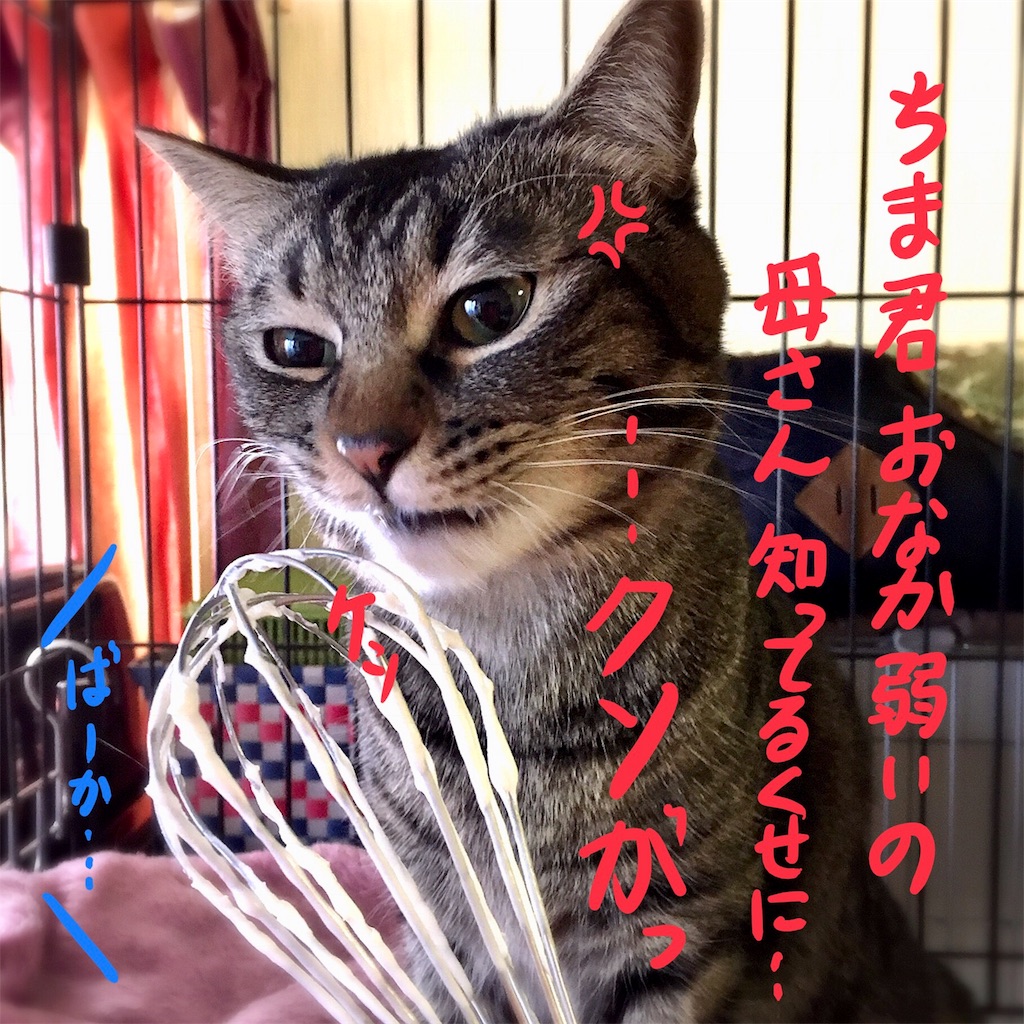 f:id:munazouchan48:20180104134650j:image