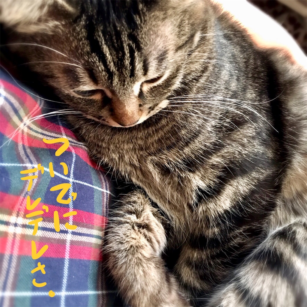 f:id:munazouchan48:20180111161038j:image f:id:munazouchan48:20180111161038j:image