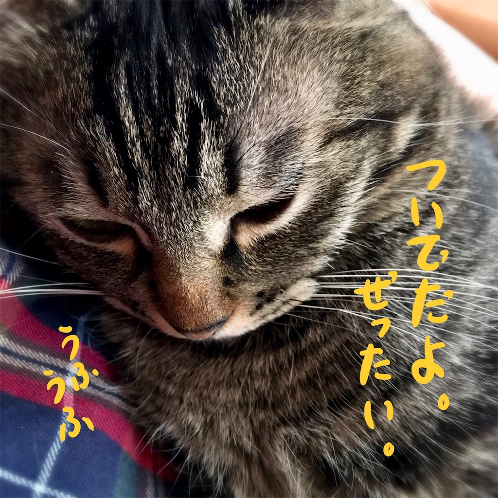 f:id:munazouchan48:20180111161055j:image f:id:munazouchan48:20180111161055j:image