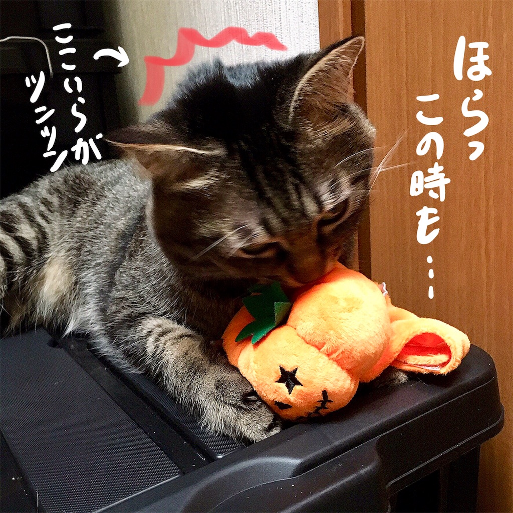 f:id:munazouchan48:20180111161128j:image f:id:munazouchan48:20180111161128j:image