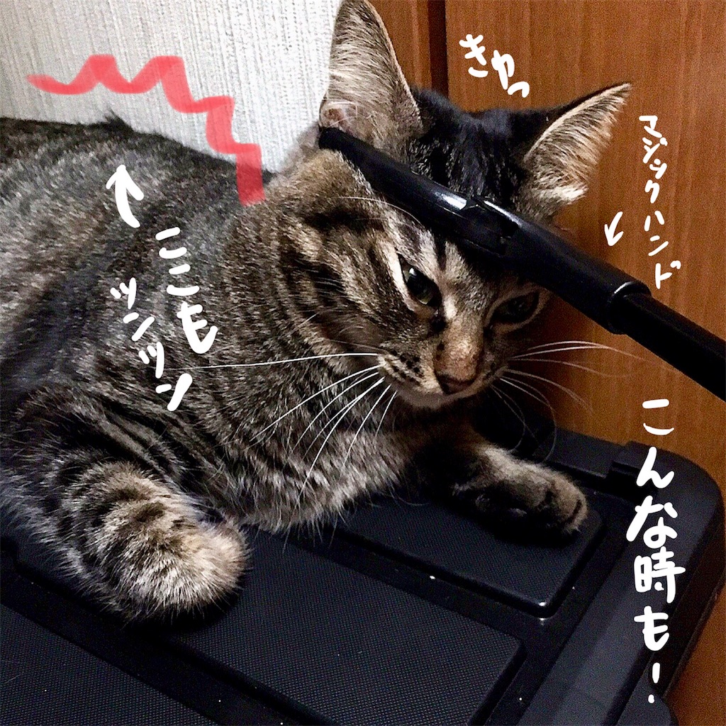 f:id:munazouchan48:20180111161153j:image f:id:munazouchan48:20180111161153j:image