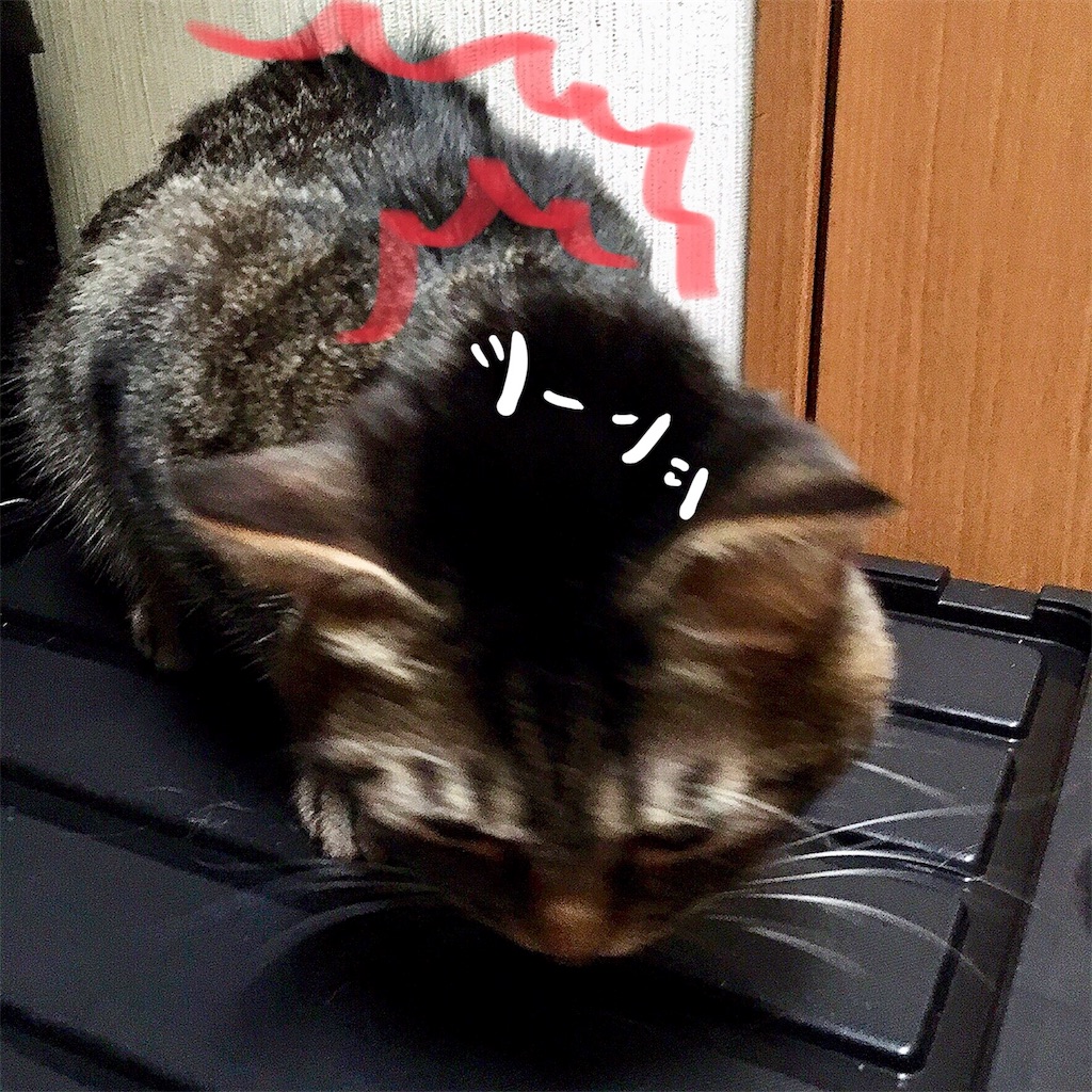 f:id:munazouchan48:20180111162539j:image f:id:munazouchan48:20180111162539j:image