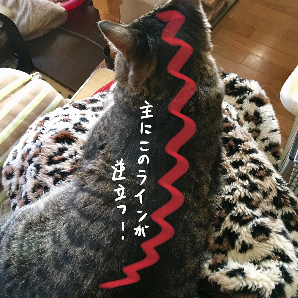 f:id:munazouchan48:20180111162601j:image