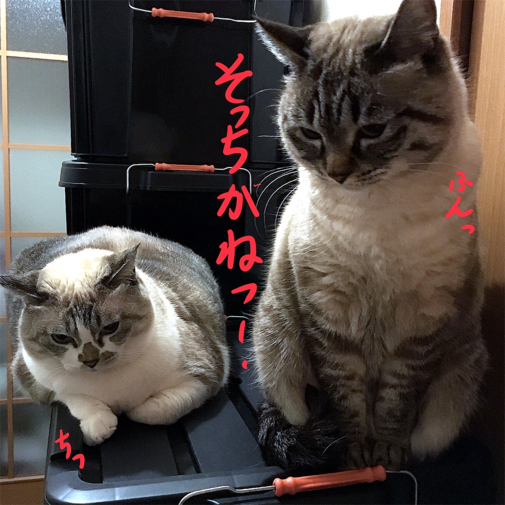 f:id:munazouchan48:20180113192419j:image