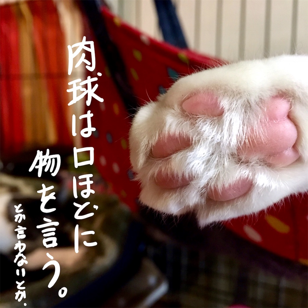 f:id:munazouchan48:20180128145632j:image