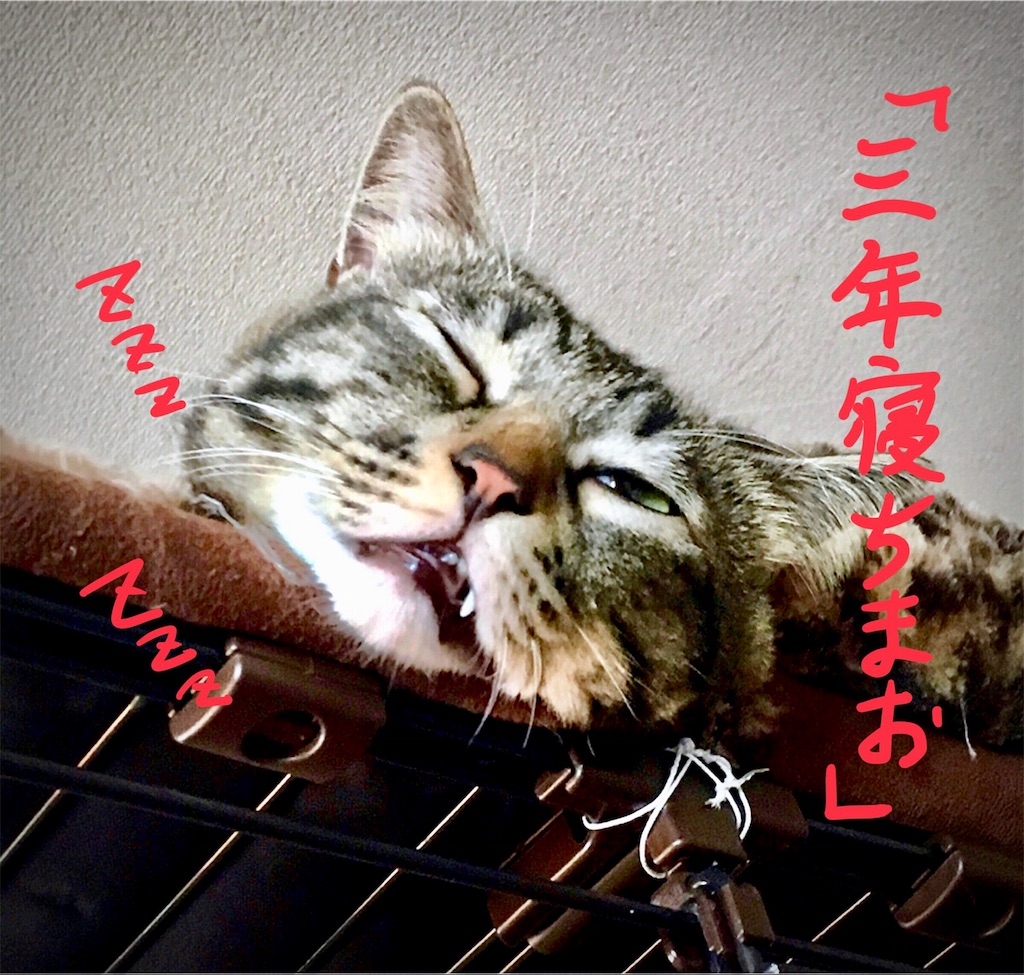 f:id:munazouchan48:20180128153032j:image