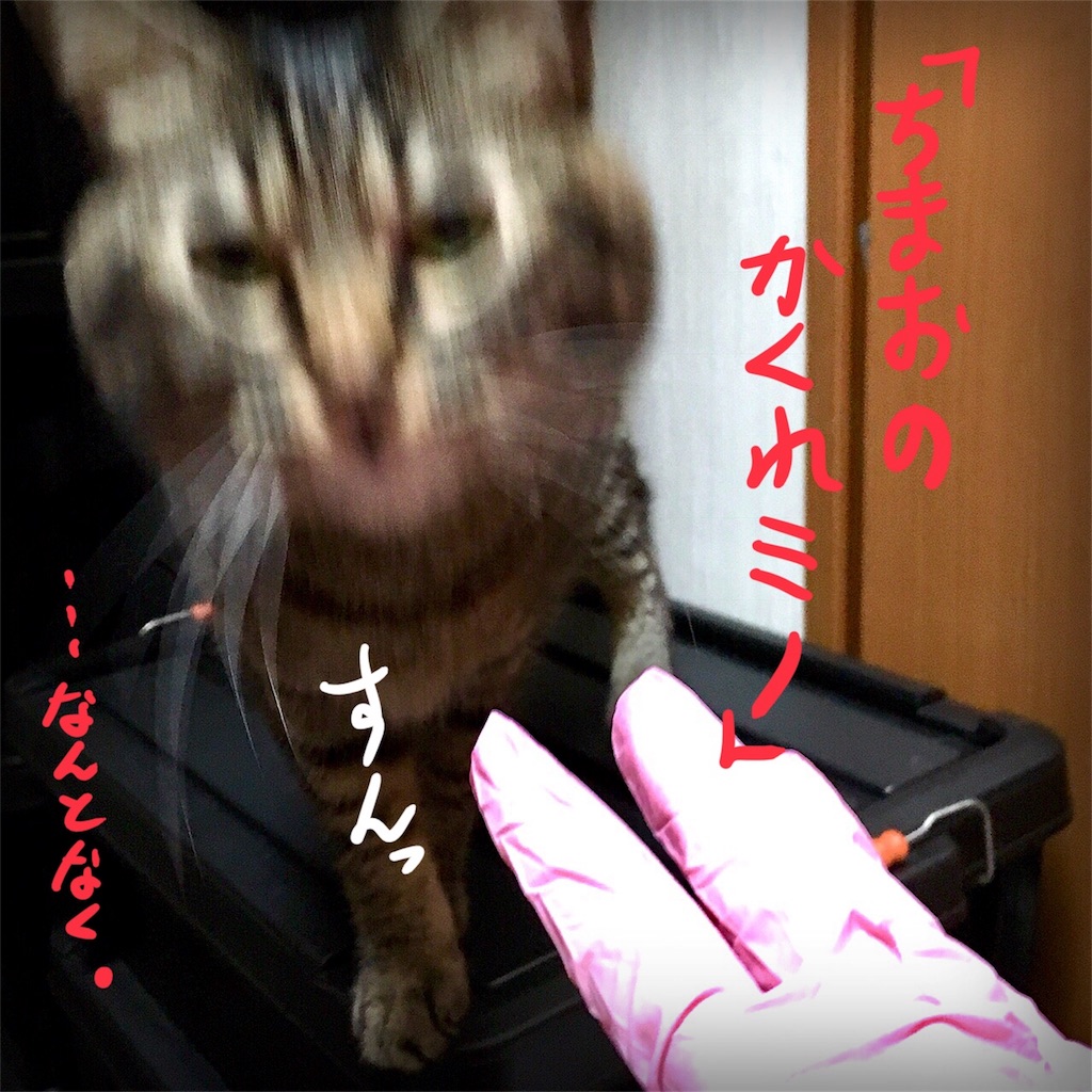 f:id:munazouchan48:20180128153753j:image