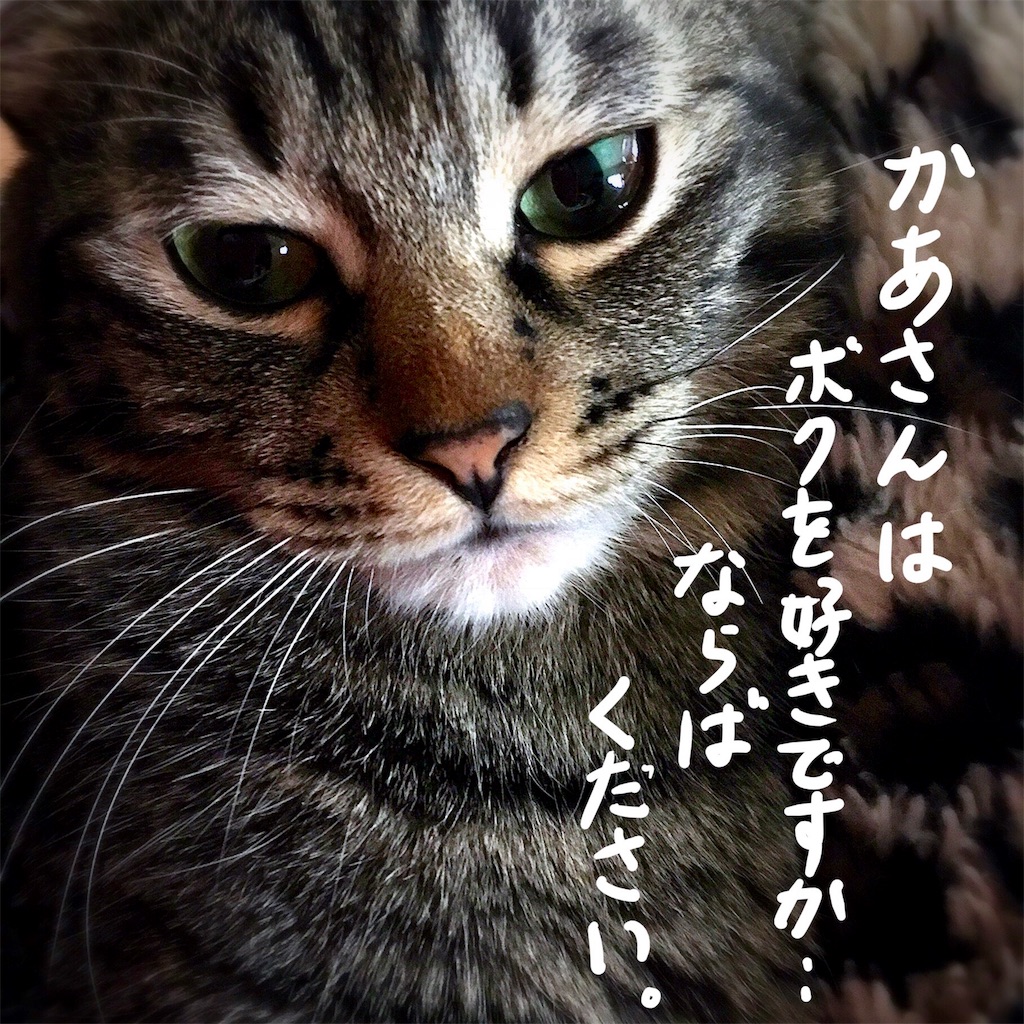 f:id:munazouchan48:20180213183012j:image f:id:munazouchan48:20180213183012j:image