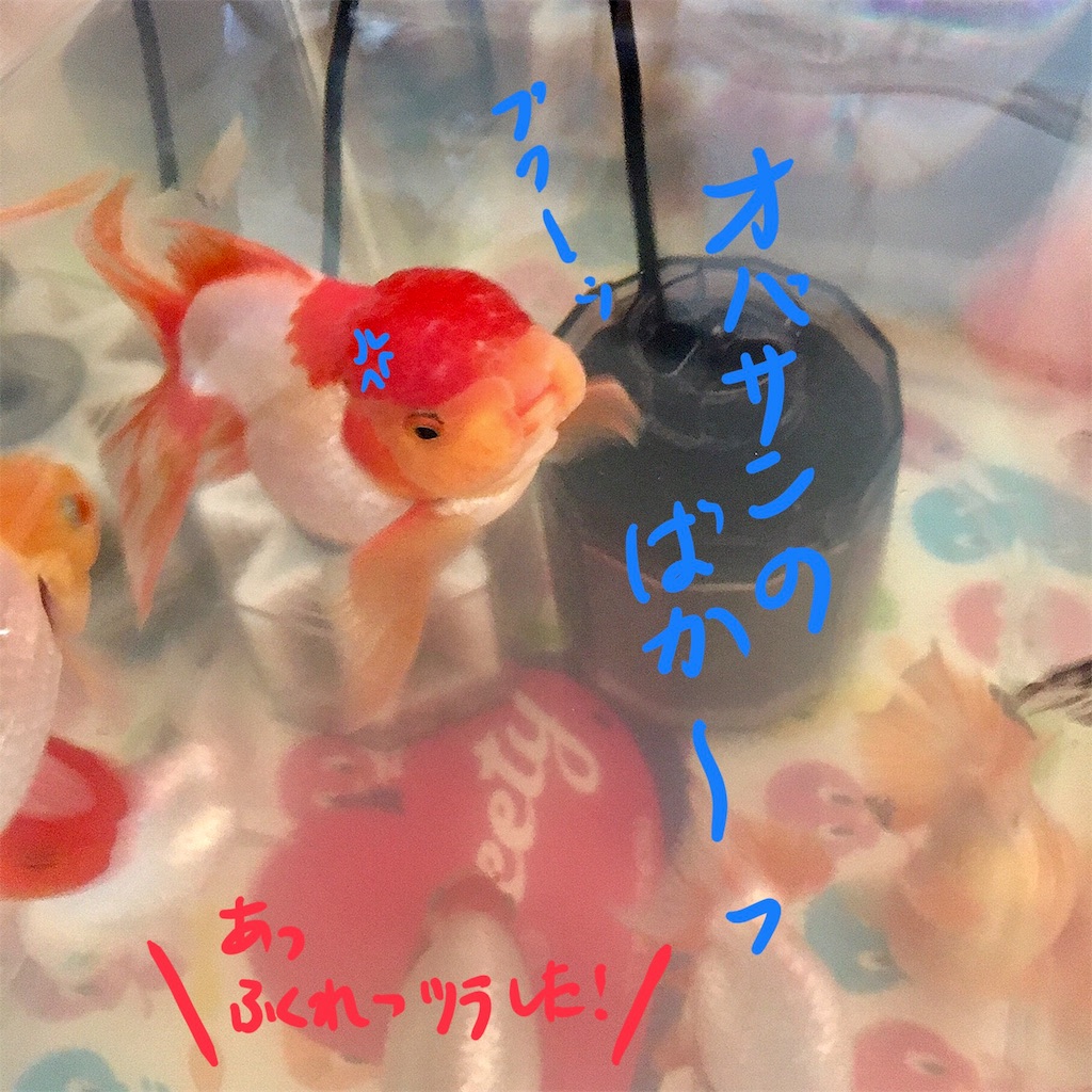 ねこしごと