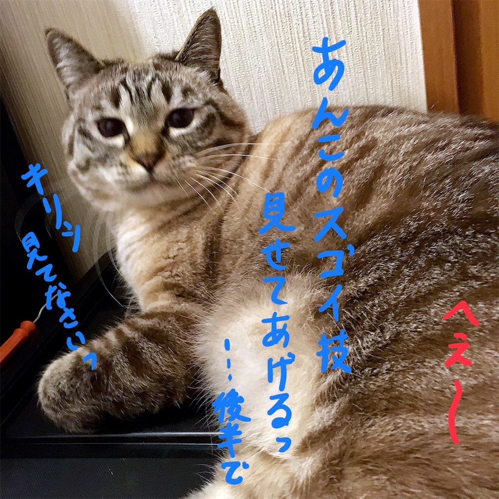 f:id:munazouchan48:20180218165518j:image