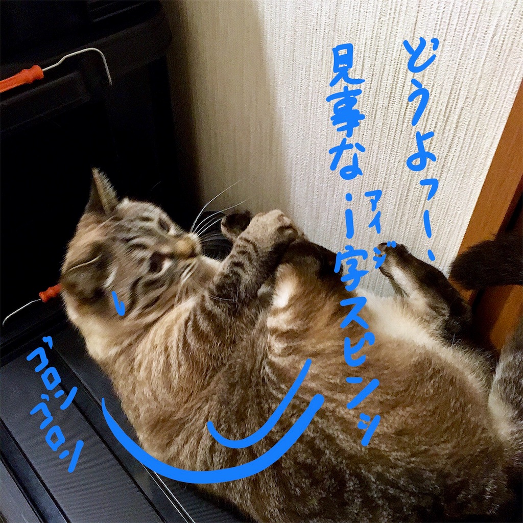 f:id:munazouchan48:20180218165656j:image