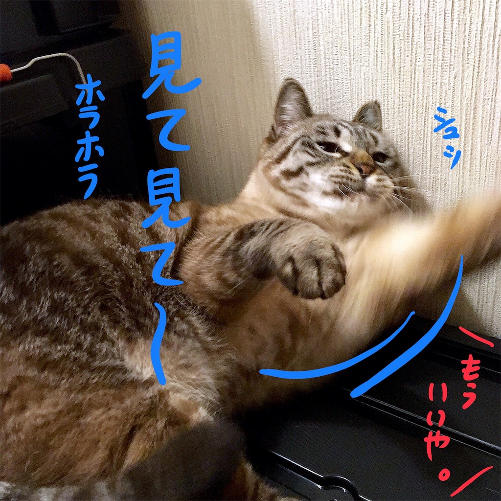 f:id:munazouchan48:20180218170404j:image