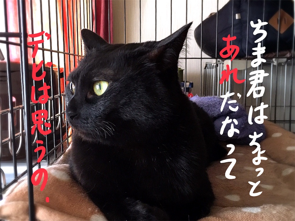 f:id:munazouchan48:20180219165912j:image f:id:munazouchan48:20180219165912j:image