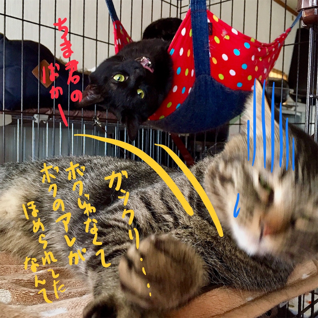 f:id:munazouchan48:20180219170046j:image f:id:munazouchan48:20180219170046j:image