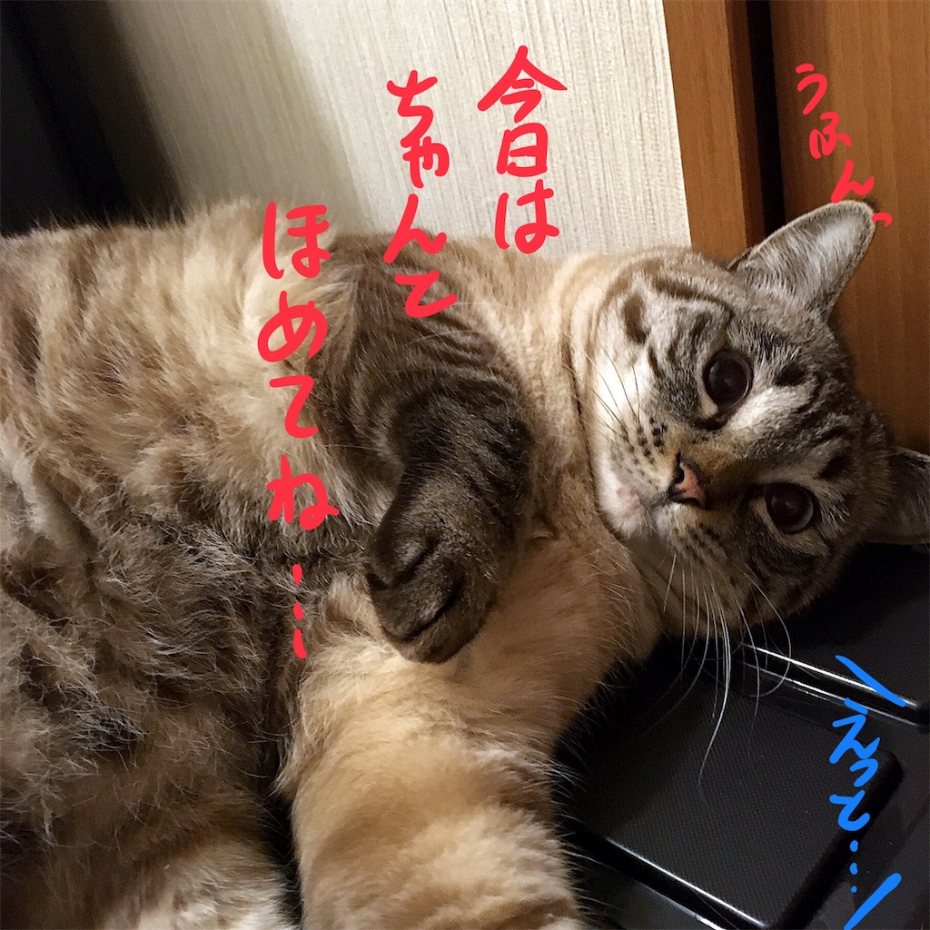 f:id:munazouchan48:20180224152205j:image