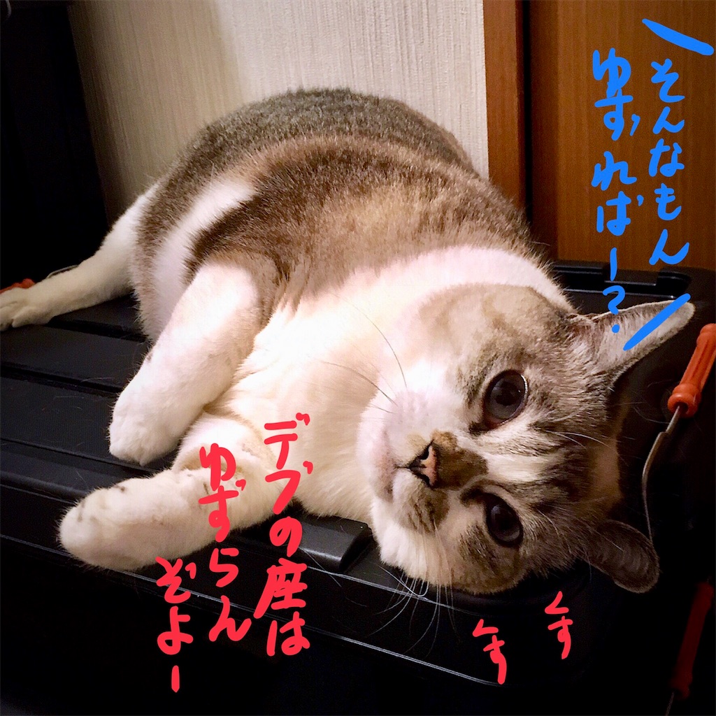 f:id:munazouchan48:20180224152248j:image