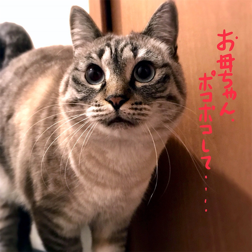 f:id:munazouchan48:20180305165241j:image