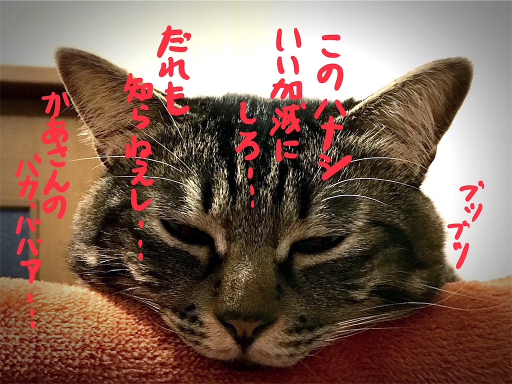 f:id:munazouchan48:20180307172024j:image f:id:munazouchan48:20180307172024j:image