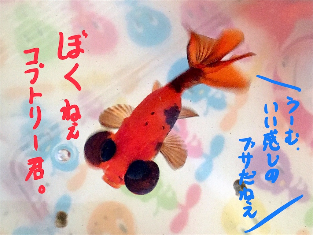 f:id:munazouchan48:20180320210708j:image f:id:munazouchan48:20180320210708j:image