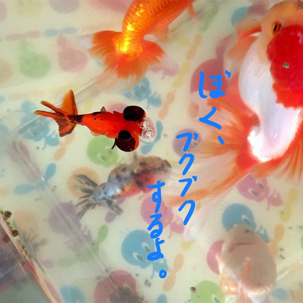 f:id:munazouchan48:20180320210845j:image f:id:munazouchan48:20180320210845j:image