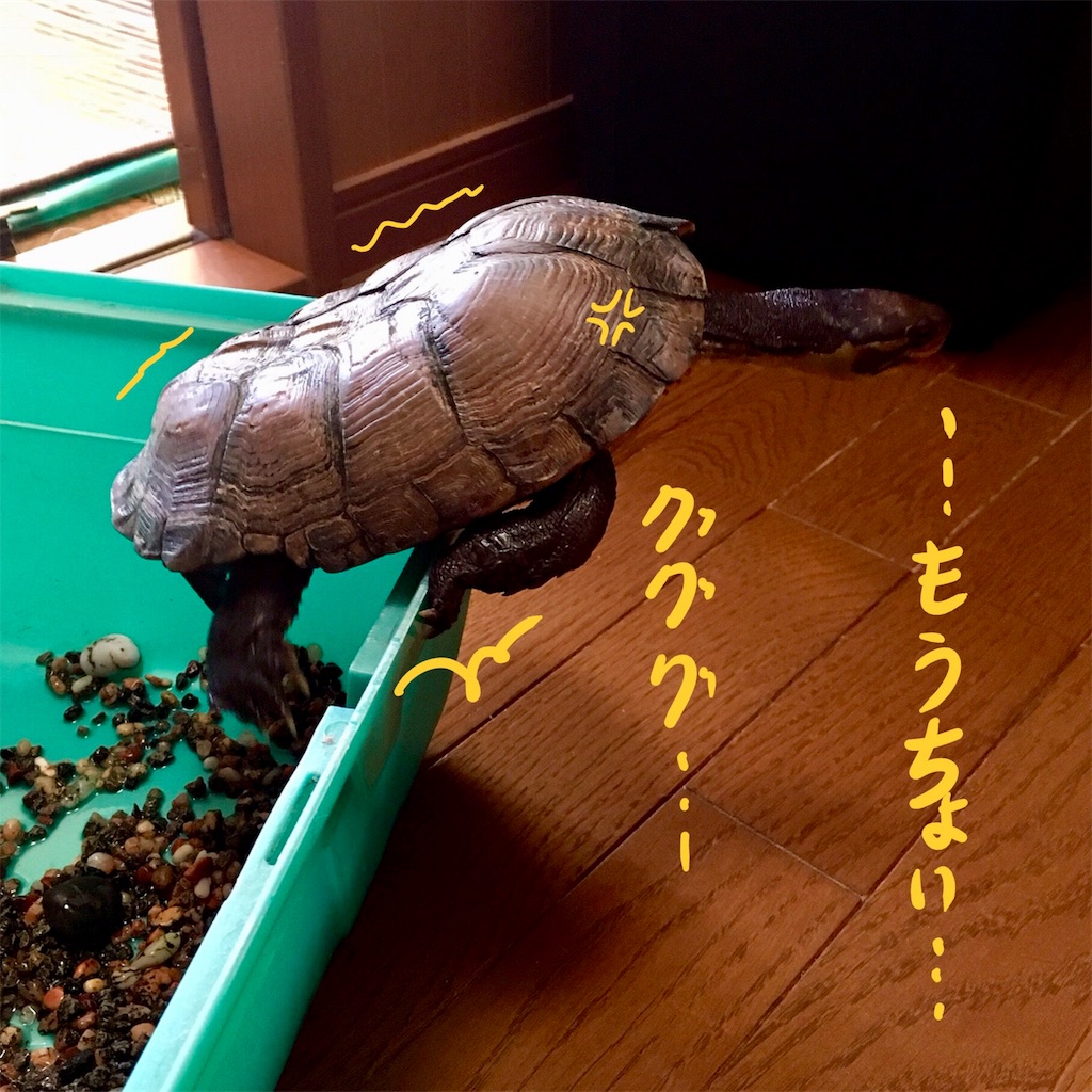 f:id:munazouchan48:20180324205340j:image