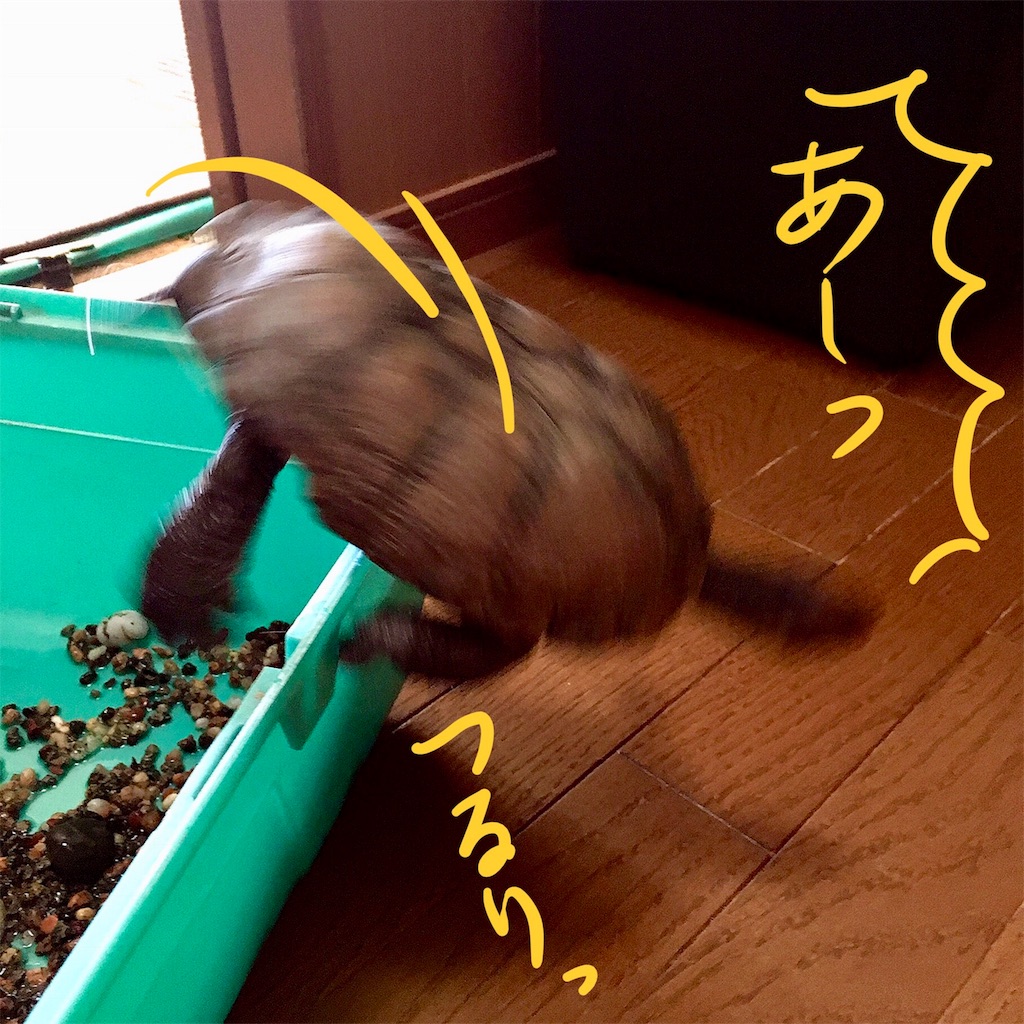 f:id:munazouchan48:20180324205353j:image