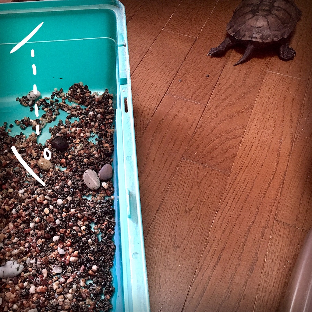 f:id:munazouchan48:20180324205449j:image